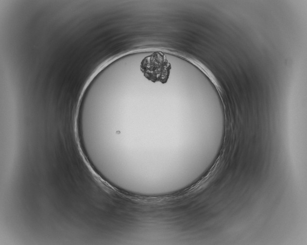 X0000116381101200912020941