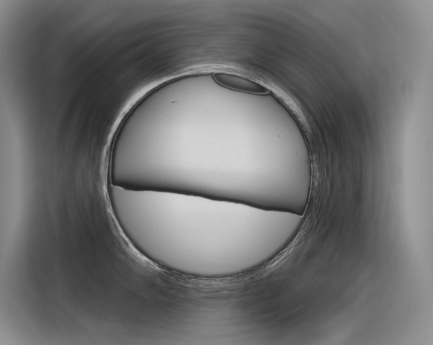 X0000116381102200912020941