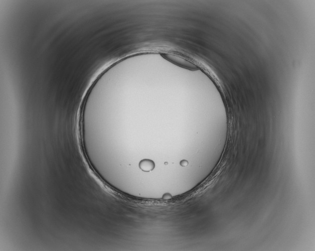 X0000116381103200912020941