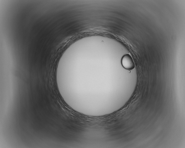 X0000116381110200912020940