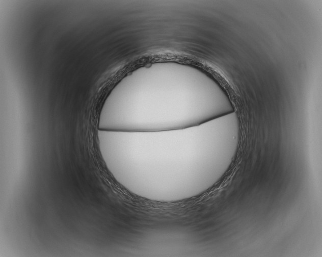 X0000116381111200912020940