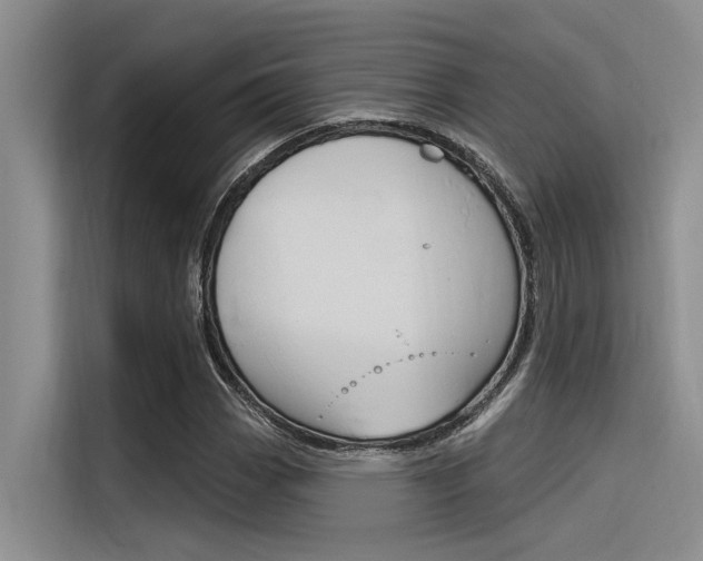 X0000116381113200912020940