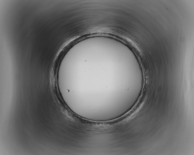 X0000116381117200912020940