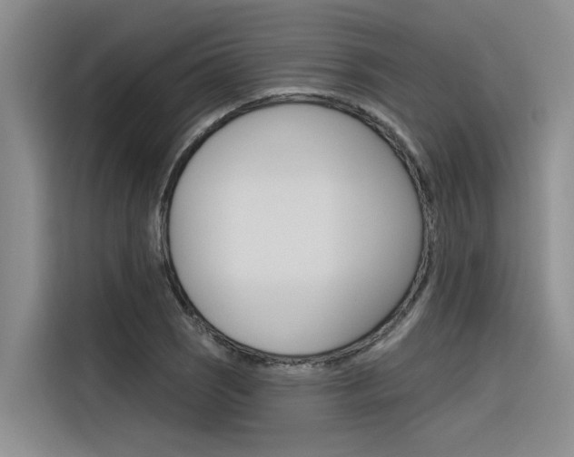 X0000116381121200912020940