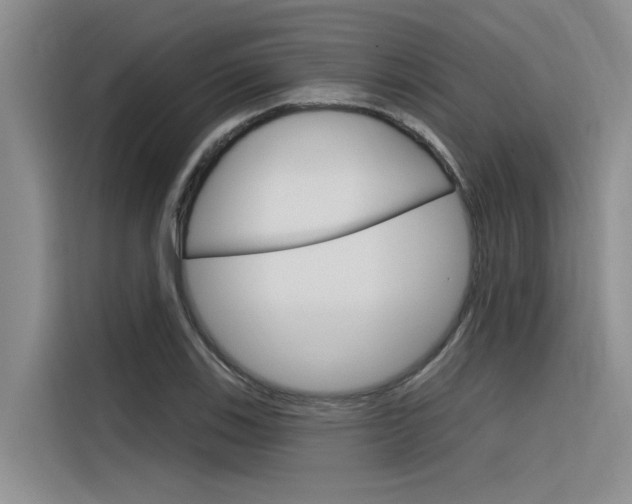 X0000116381123200912020940