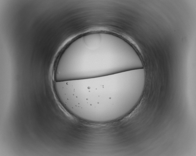 X0000116381127200912020940