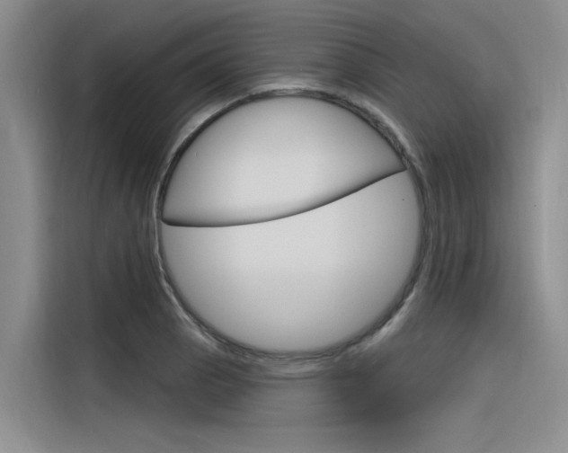 X0000116381129200912020940