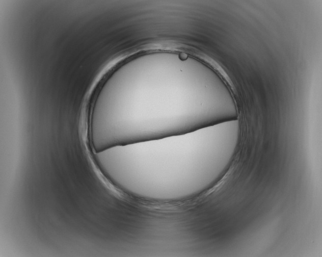 X0000116381131200912020940