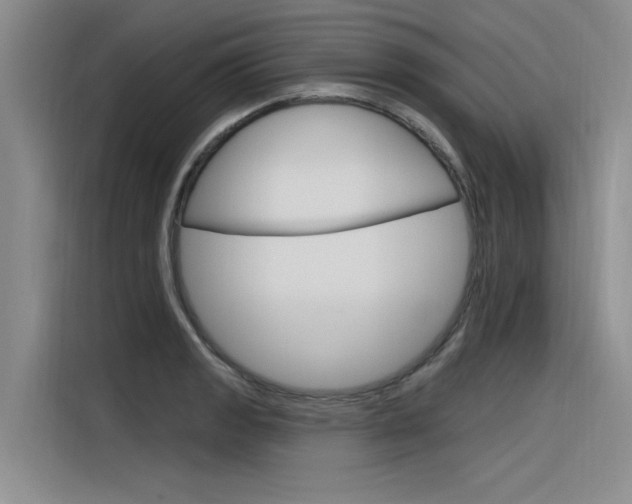 X0000116381133200912020940