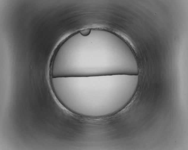 X0000116381135200912020940