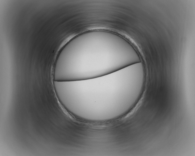 X0000116381137200912020940