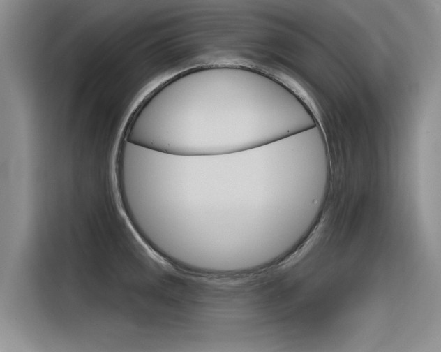 X0000116381141200912020940