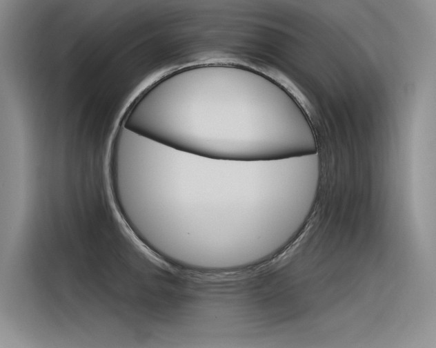 X0000116381142200912020940
