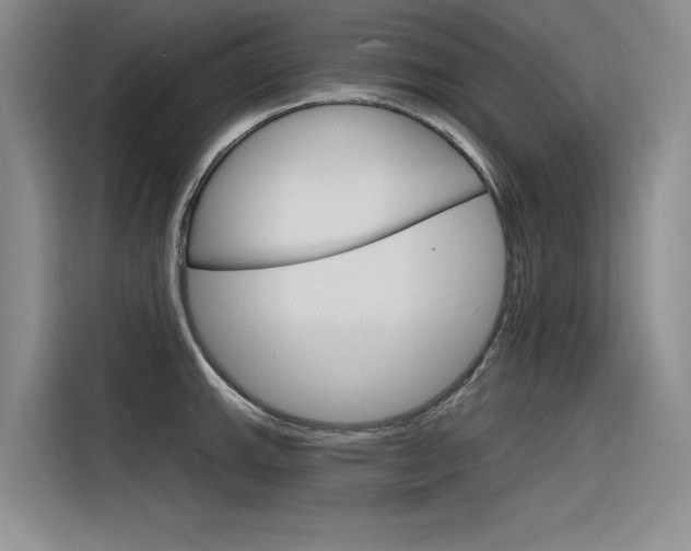 X0000116381143200912020940