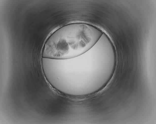 X0000116381145200912020940