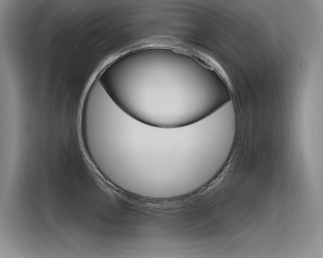 X0000116381146200912020941