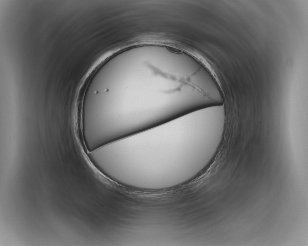 X0000116381147200912020941