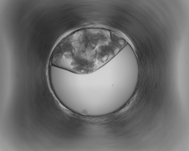 X0000116381149200912020941