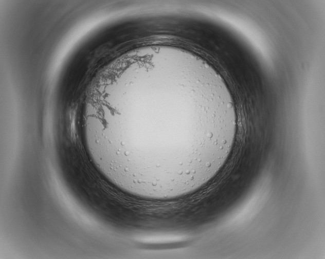 X0000116381150200912020941