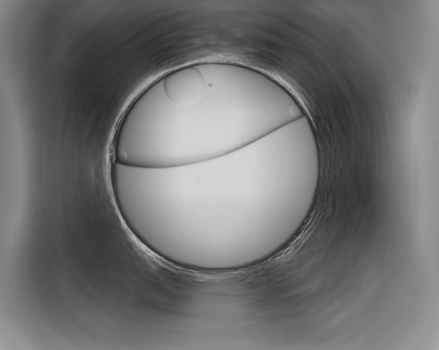 X0000116381151200912020941