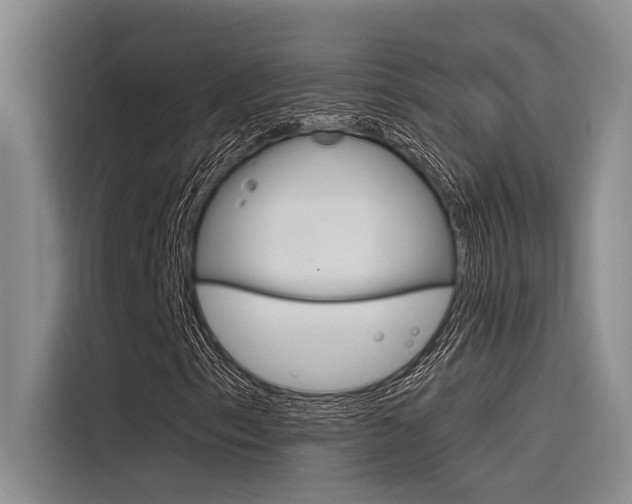 X0000116381153200912020940