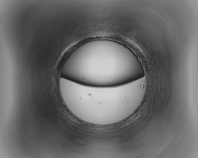 X0000116381160200912020940