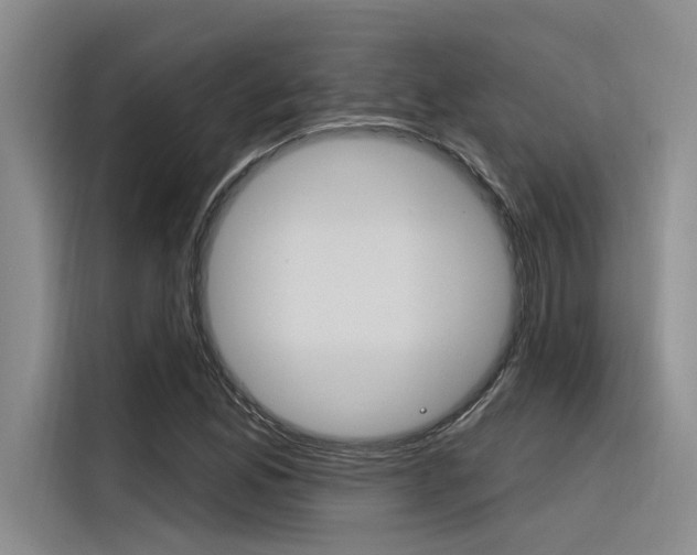 X0000116381165200912020940