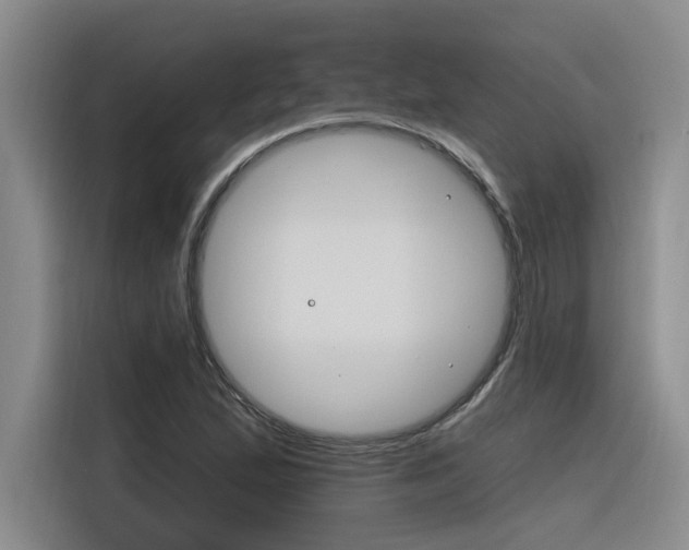 X0000116381167200912020940