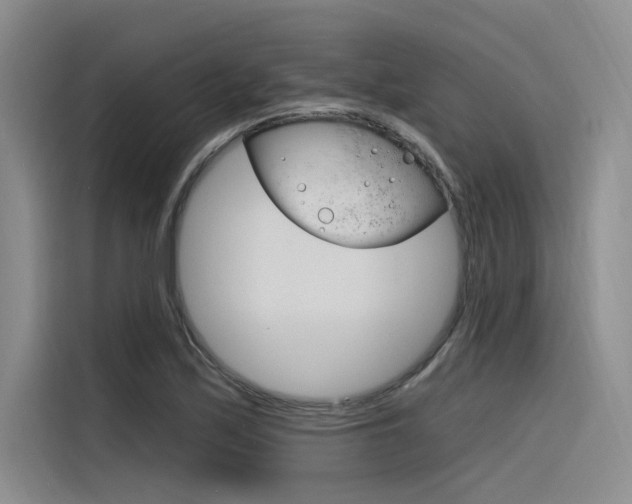 X0000116381171200912020940