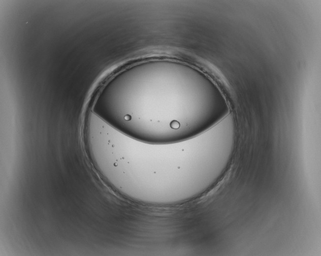 X0000116381172200912020940
