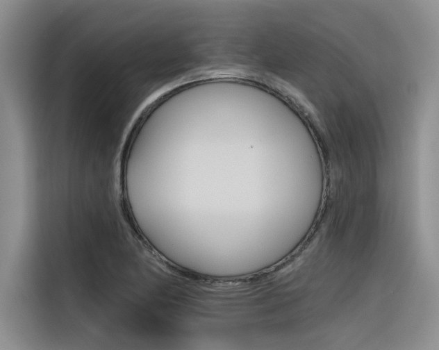 X0000116381174200912020940