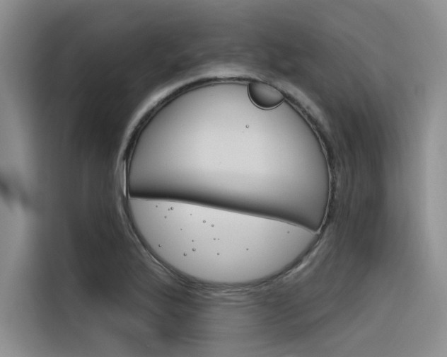 X0000116381175200912020940