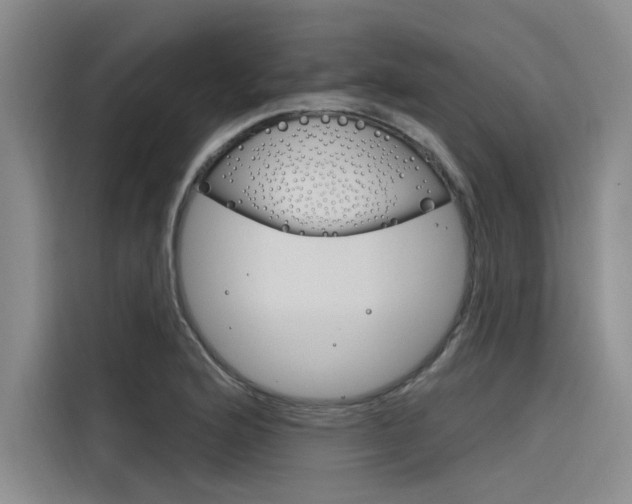 X0000116381176200912020940