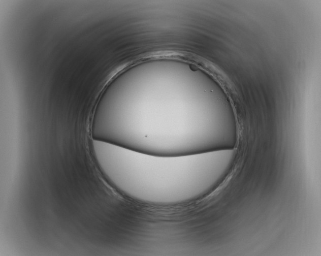 X0000116381177200912020940