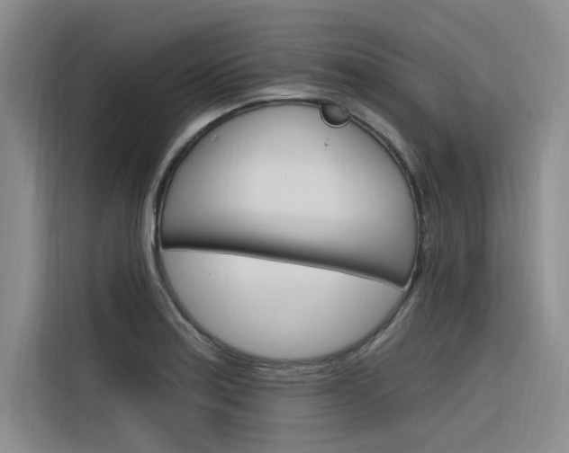 X0000116381179200912020940