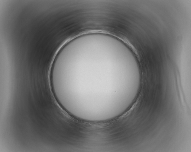 X0000116381181200912020940