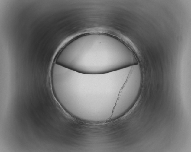 X0000116381184200912020940