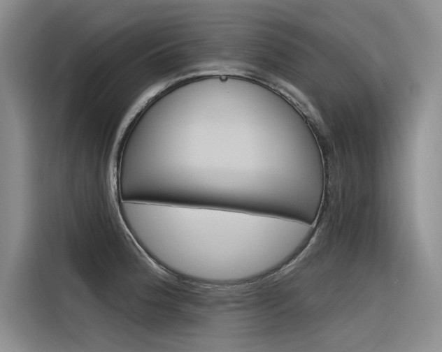 X0000116381188200912020940