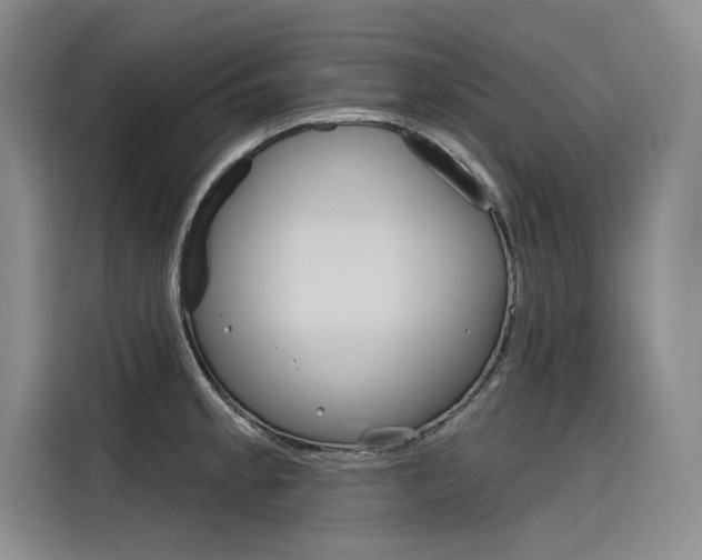 X0000116381189200912020939