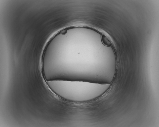 X0000116381191200912020939