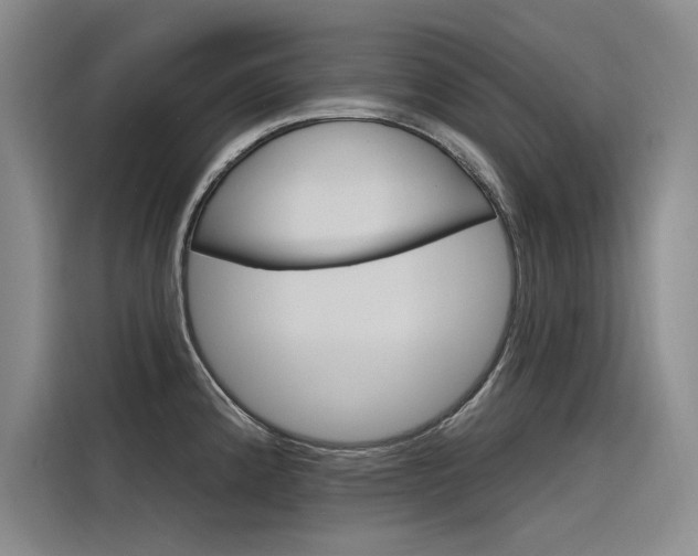 X0000116381192200912020939