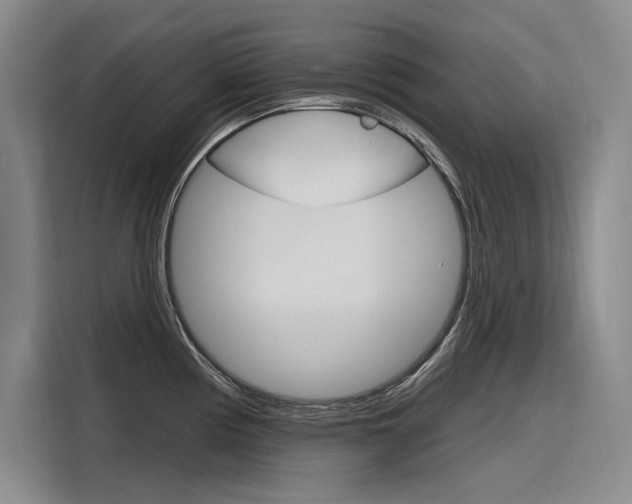 X0000116381194200912020939