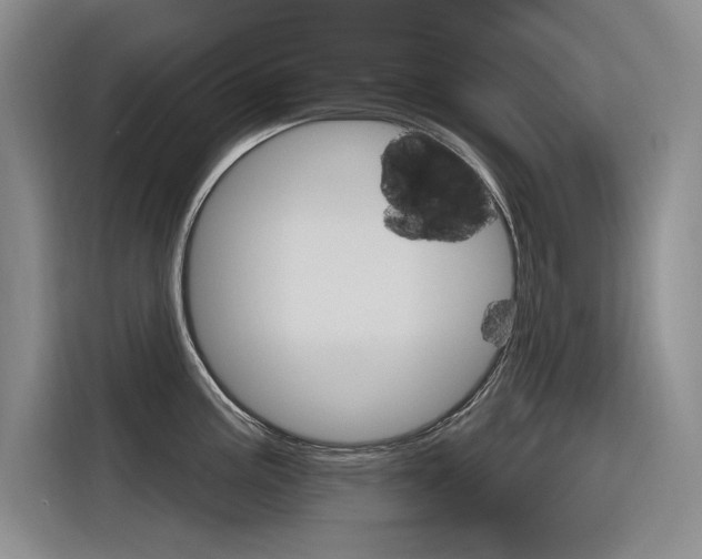 X0000116381195200912020939