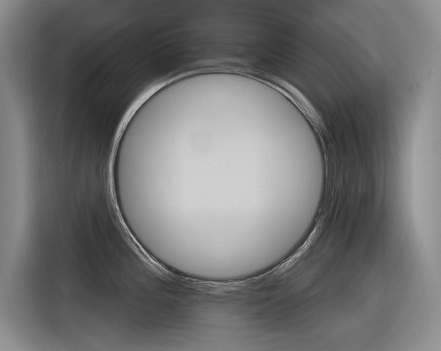 X0000116381196200912020939