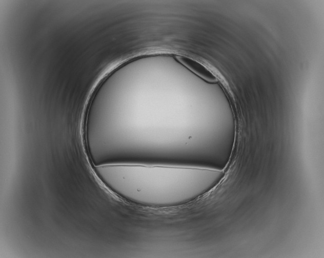 X0000116381197200912020939