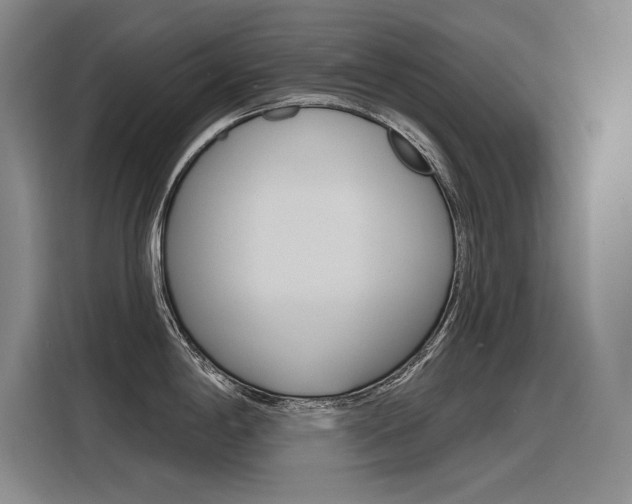 X0000116381198200912020939