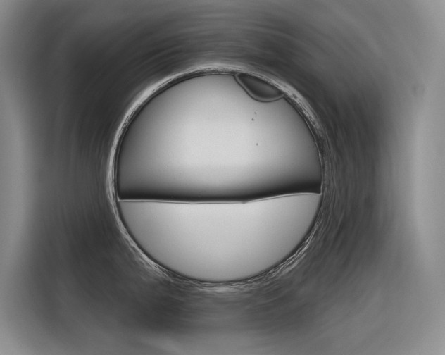 X0000116381199200912020939