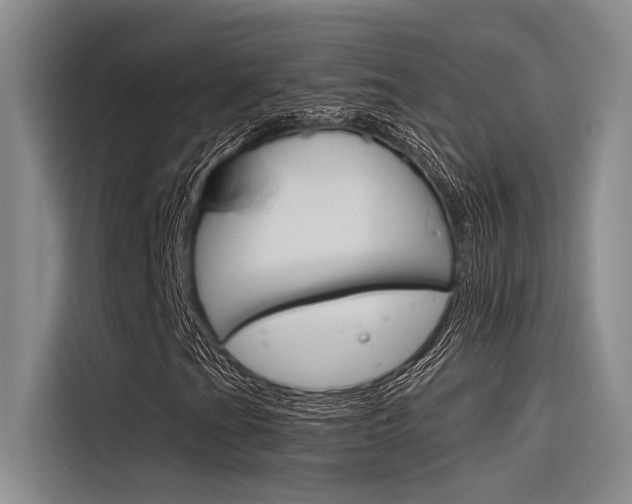 X0000116381201200912020939