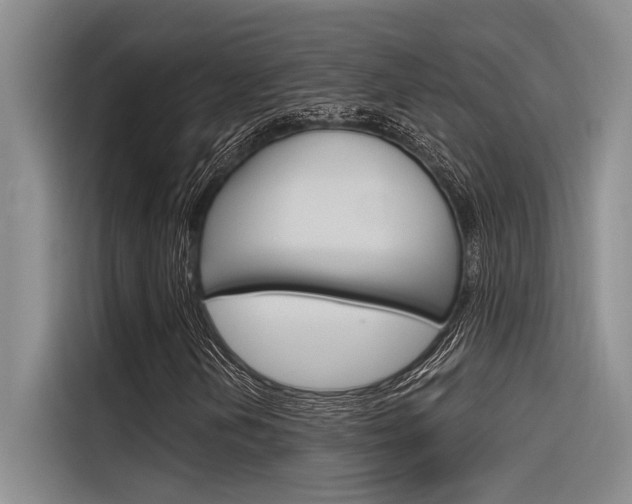 X0000116381202200912020939