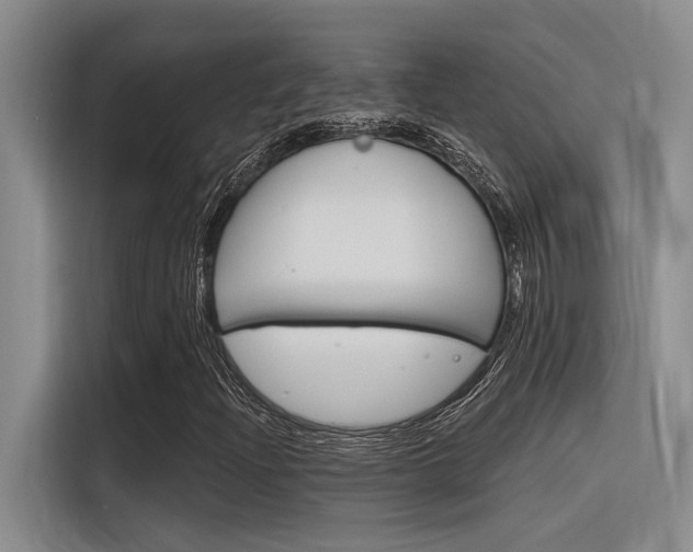 X0000116381204200912020939